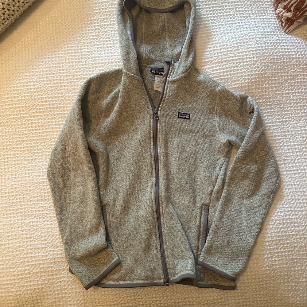 Patagonia better sweater with hood